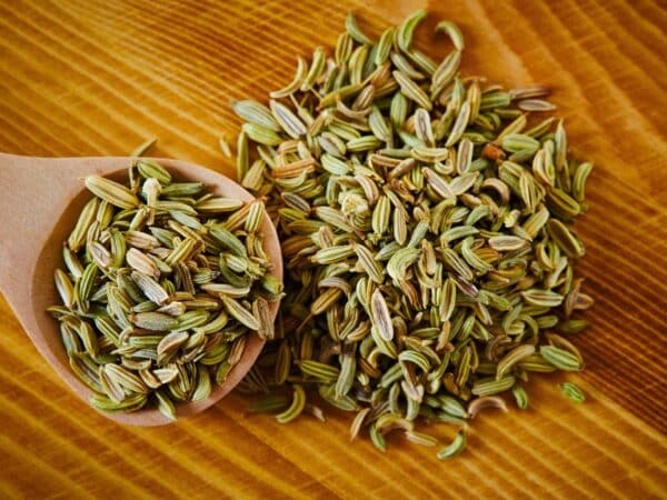 Fennel Seed