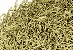 Rosemary