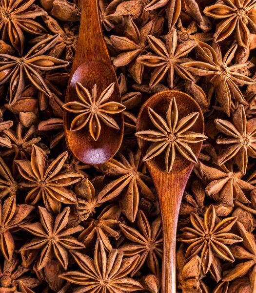 Anise Star