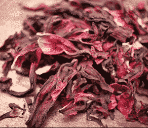 Hibiscus Flower