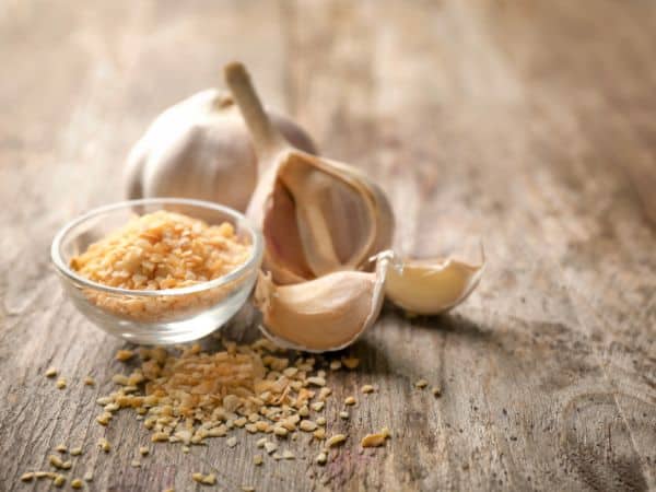 Garlic