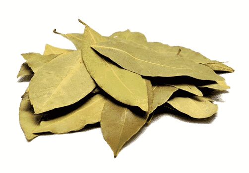 Turkish bay leaf