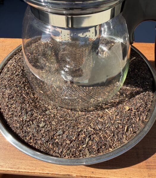 Formosa Oolong Tea