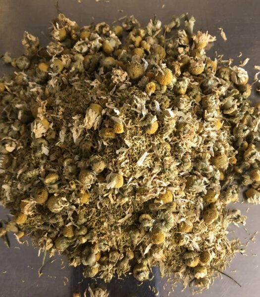 Chamomile