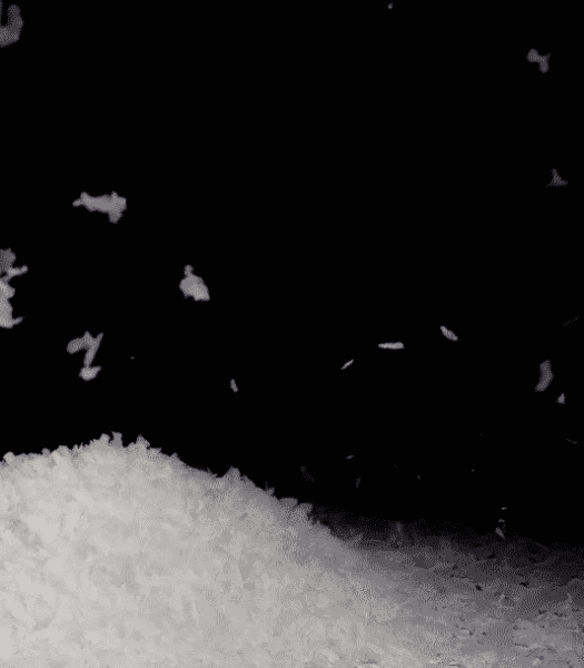 Fleur de Sel by Le Tresor