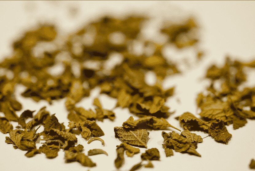 Oregano Mexico