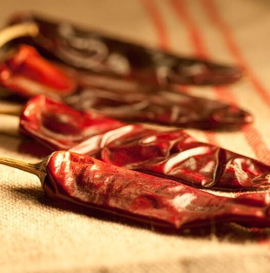 Guajillo Chile