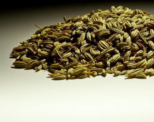 Fennel Seed