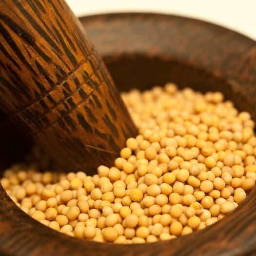 yellow mustard seeds