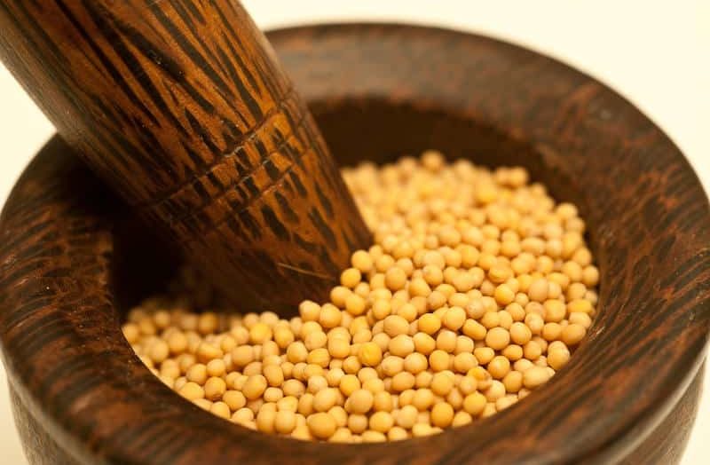 yellow mustard seeds