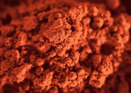 Paprika, Hot Hungarian