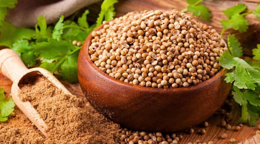 Coriander Seed canadian
