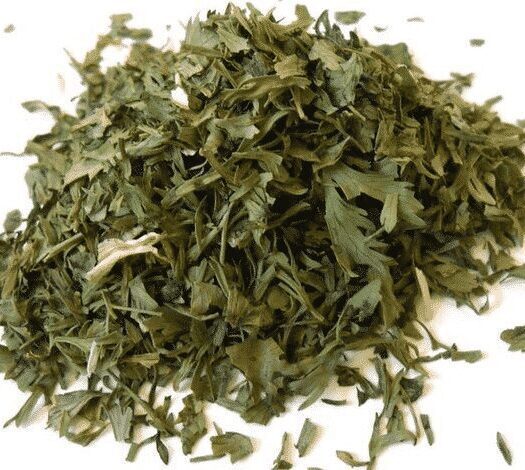 Coriander Leaves ( Cilantro )