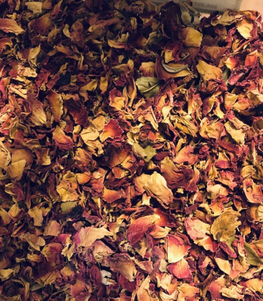 Rose petals
