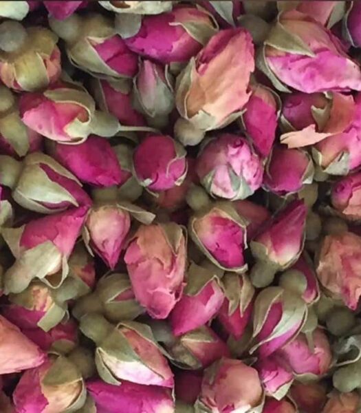 Rose Blossoms