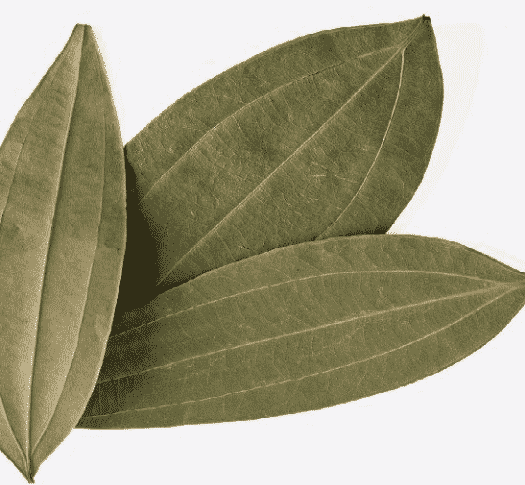 Bay Leaf, Indian (Tej Patta) 1/2 oz