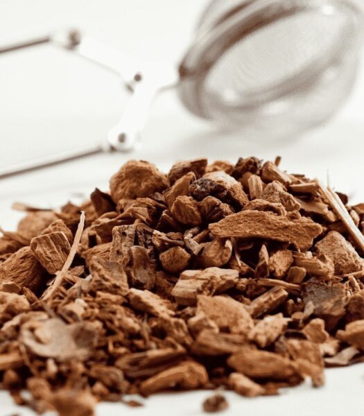 Gentian root