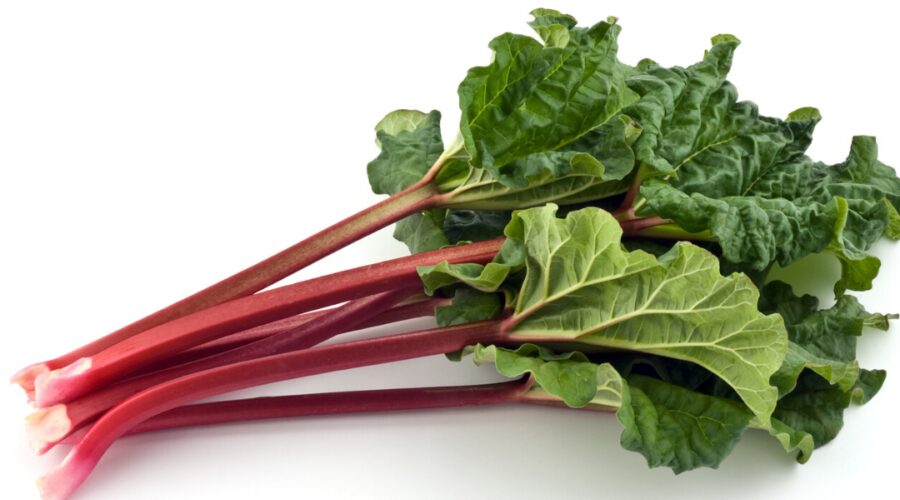 What is Rhubarb