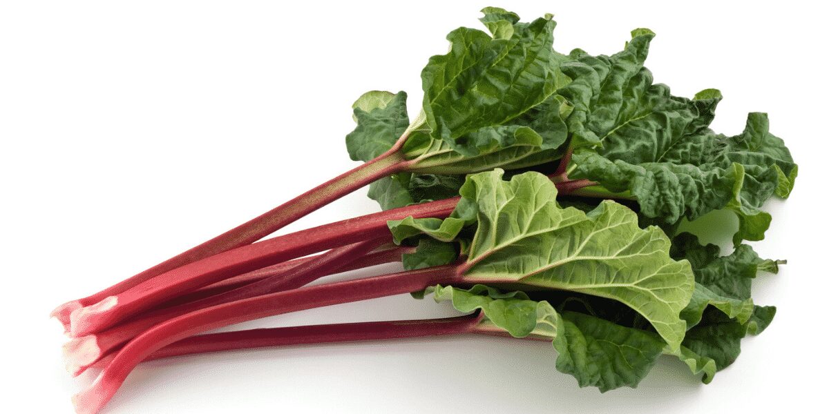 What is Rhubarb