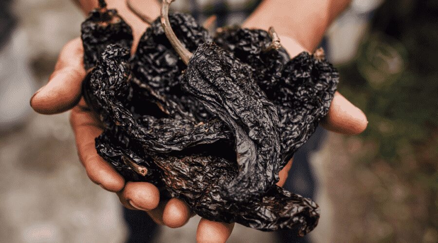Dried Ancho peppers