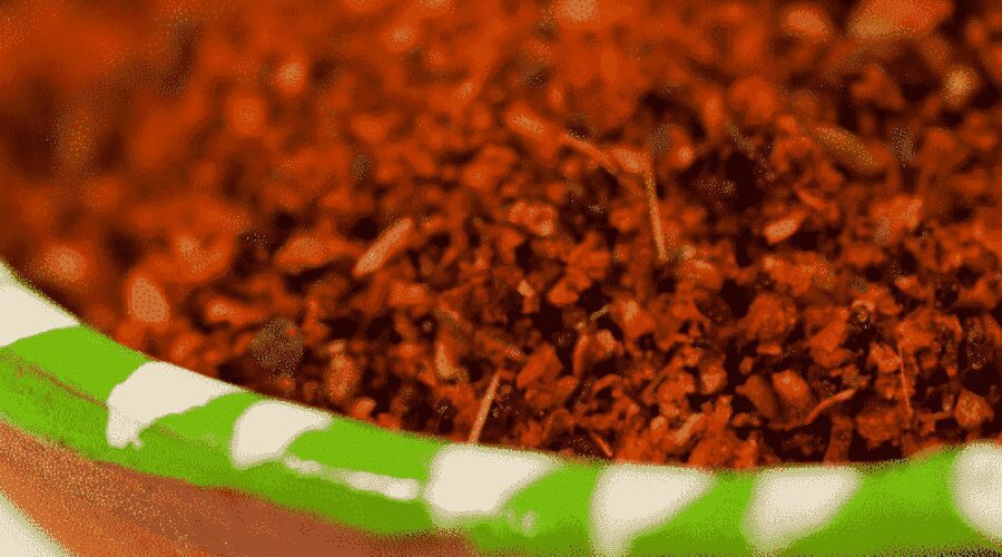 Berbere the Ethiopian spice