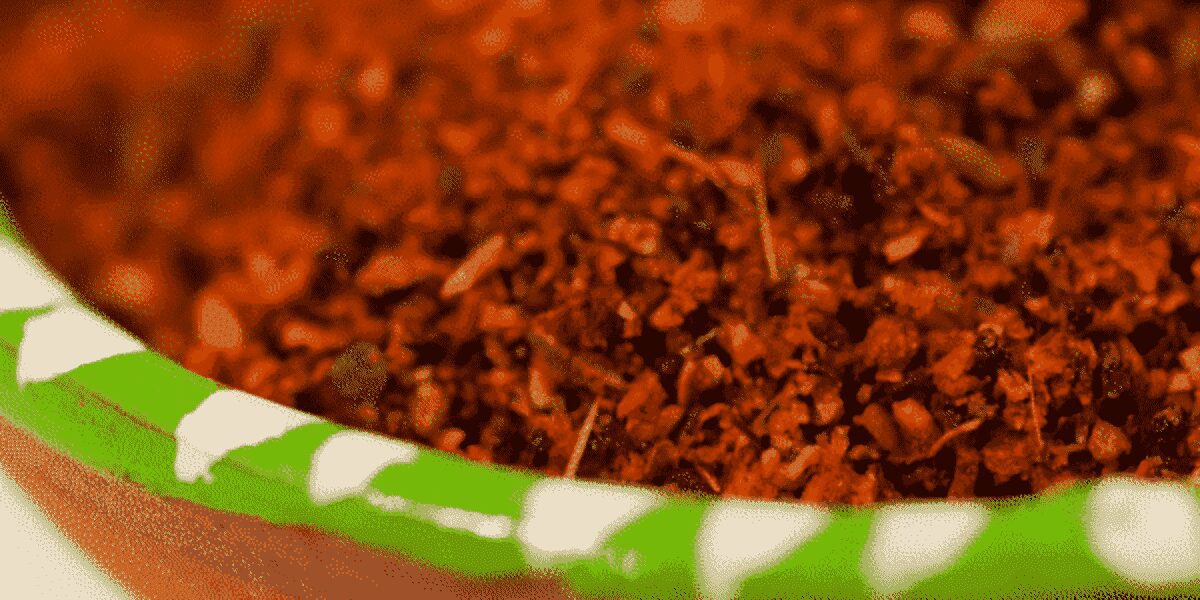 Berbere the Ethiopian spice