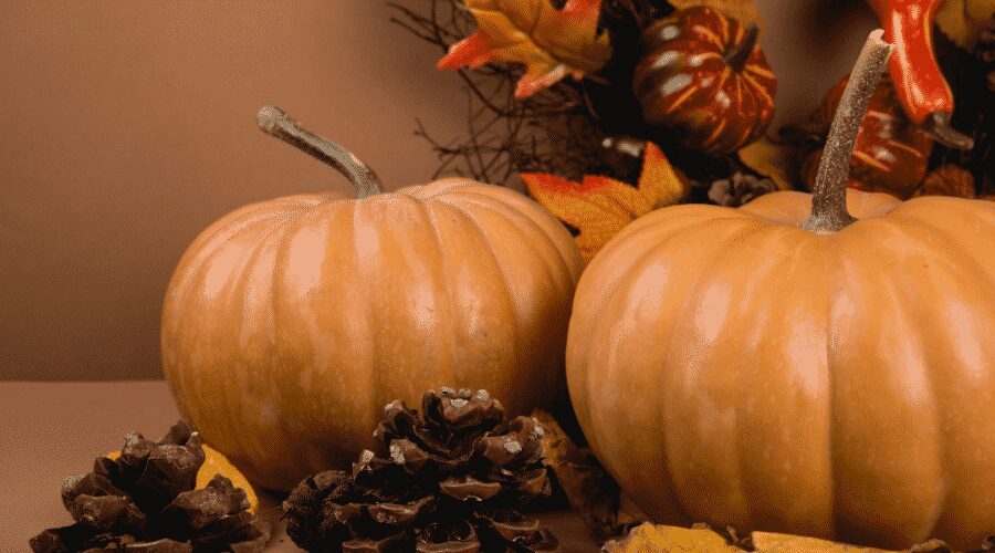 Pumpkin pie spice