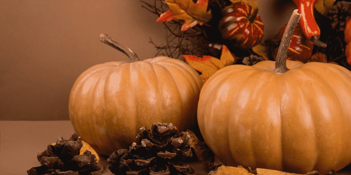 Pumpkin pie spice