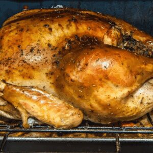 turkey