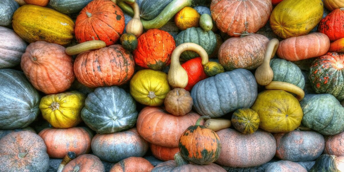 winter squash