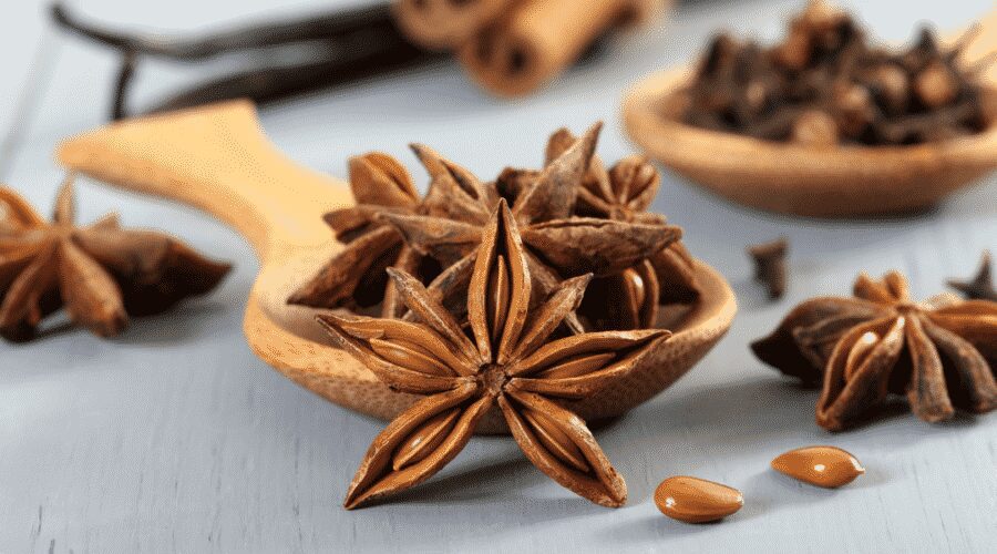 Star anise the beautiful spice