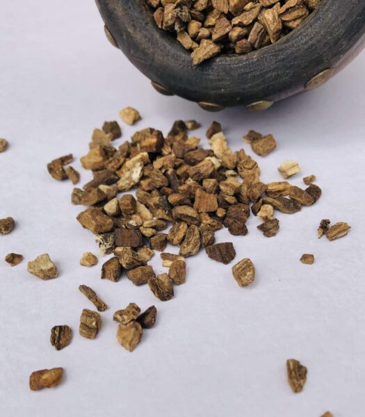 Burdock root