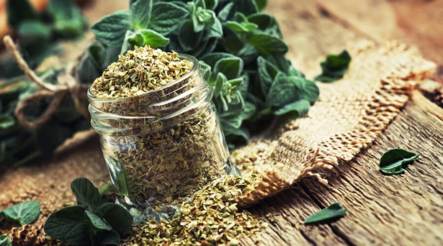 oregano