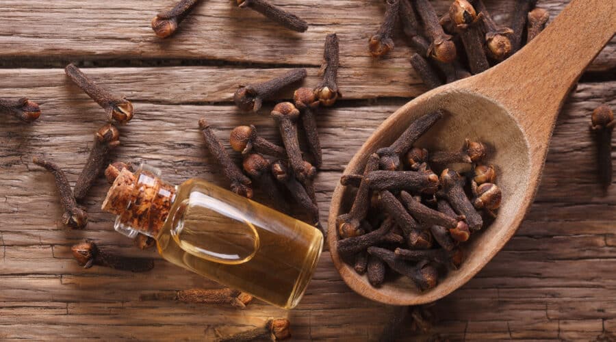 Clove spice and oil
