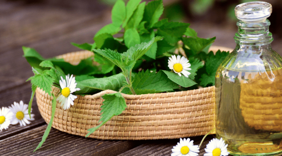 spring spices