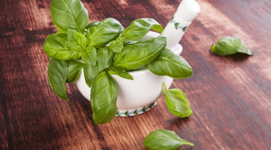 basil