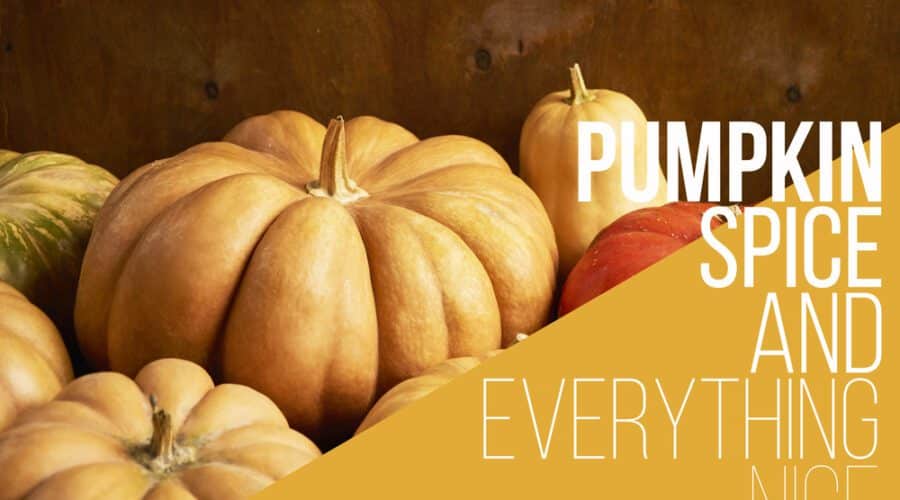 pumpkin spice
