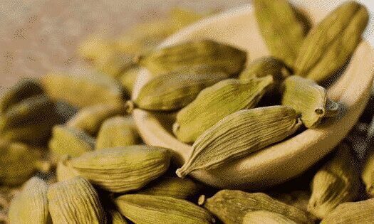 Cardamom, Green