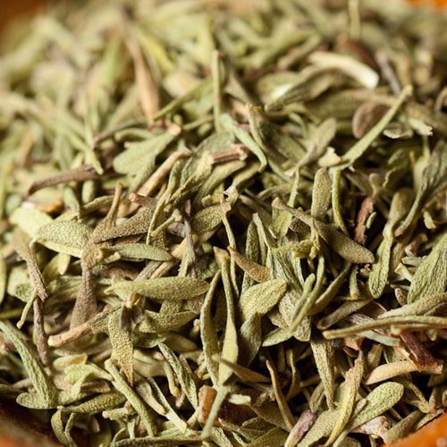 Chervil - Image 9