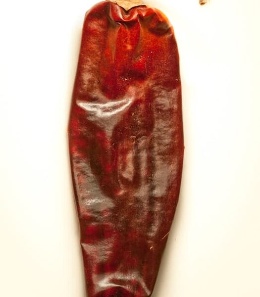 Pulla Chile