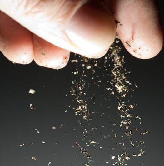 Fennel Pollen